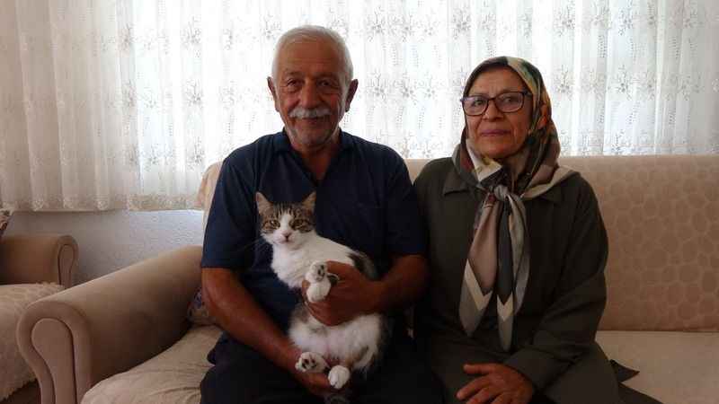 Depremde kaybettikleri kedilerini 5 ay sonra buldular